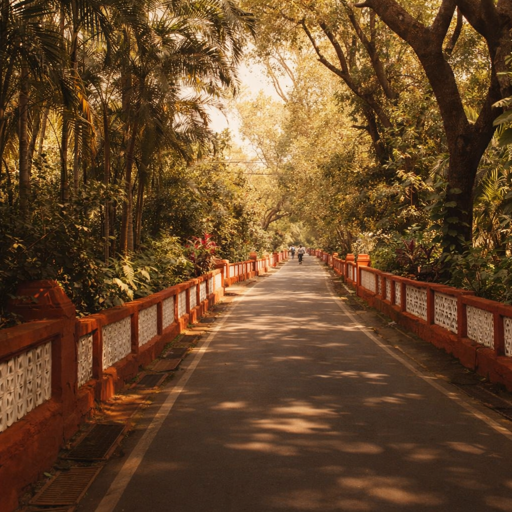 भारत की खाली सड़क सुबह के समय